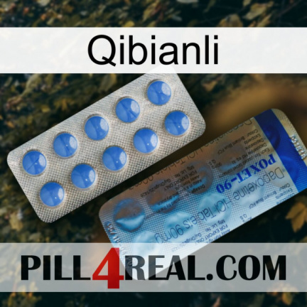 Qibianli 40